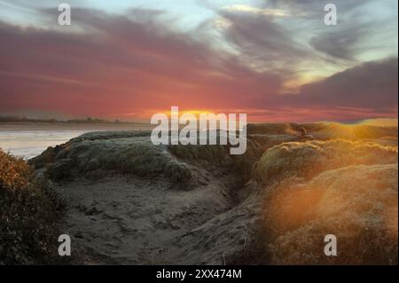 Alba sul fiume exe a Devon, Inghilterra, Regno Unito Foto Stock