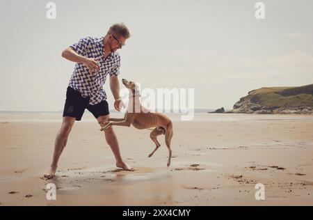 Un uomo caucasico che gioca con il cane Whippet sulla spiaggia di sabbia, goditi una giornata estiva in riva al mare, uno stile di vita attivo e spensierato con gli animali domestici sulla spiaggia sabbiosa con l'oceano Foto Stock