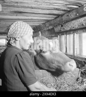 Attuale 08-1949: Niente di nuovo dal confine a nord. Foto: Sverre A. Børretzen / Aktuell / NTB ***la foto non viene elaborata*** il testo dell'immagine viene tradotto automaticamente Foto Stock