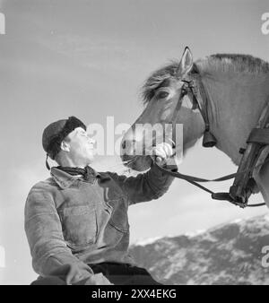 Attuale 08-1949: Niente di nuovo dal confine a nord. Foto: Sverre A. Børretzen / Aktuell / NTB ***la foto non viene elaborata*** il testo dell'immagine viene tradotto automaticamente Foto Stock