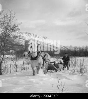 Attuale 08-1949: Niente di nuovo dal confine a nord. Foto: Sverre A. Børretzen / Aktuell / NTB ***la foto non viene elaborata*** il testo dell'immagine viene tradotto automaticamente Foto Stock