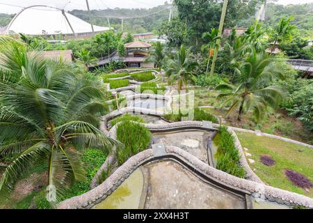 Il locale Wings of Asia mostra il design a terrazze di riso in stile Bali al Bird Paradise. Singapore. Foto Stock