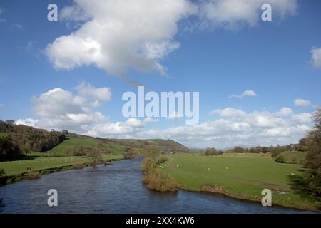 Il fiume Lune presso il Crook di Lune con una vista lontana di Penyghent nelle Yorkshire Dales vicino a Caton Lancaster Lancashire Inghilterra Foto Stock