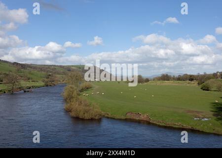 Il fiume Lune presso il Crook di Lune con una vista lontana di Penyghent nelle Yorkshire Dales vicino a Caton Lancaster Lancashire Inghilterra Foto Stock