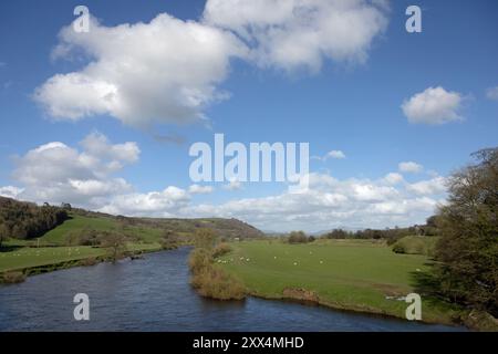 Il fiume Lune presso il Crook di Lune con una vista lontana di Penyghent nelle Yorkshire Dales vicino a Caton Lancaster Lancashire Inghilterra Foto Stock