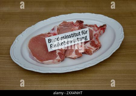 Fleischplatte mit Schriftzug Bundesinstitut für Risikobewertung Fleischplatte mit Schriftzug Bundesinstitut für Risikobewertung, 22.08.2024, Borkwalde, Brandeburgo, Auf einer Fleischplatte befindet sich der Schriftzug Bundesinstitut für Risikobewertung. *** Piatto di carne con scritta Istituto federale per la valutazione del rischio piatto di carne con scritta Istituto federale per la valutazione del rischio, 22 08 2024, Borkwalde, Brandeburgo, su un piatto di carne è il lettering Istituto federale per la valutazione del rischio Foto Stock