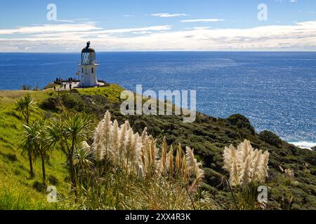 Faro di Cape Reinga sulla punta più a nord dell'Isola del Nord, nuova Zelanda. Le palme di cavolo e l'erba di pampas crescono in primo piano Foto Stock