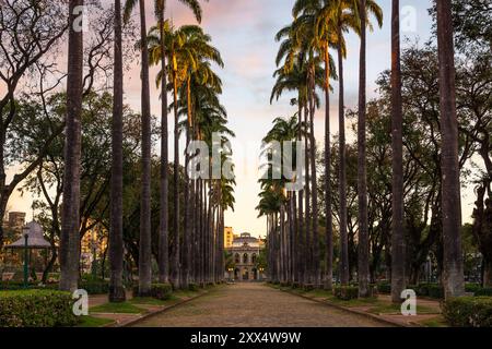 Palme a Pracia da Liberdade, Belo Horizonte, Minas Gerais, Brasile. Foto Stock