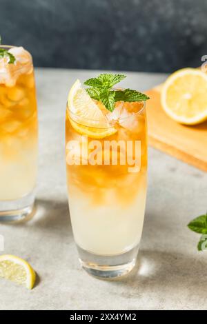 Tè freddo rinfrescante e bevanda alla limonata con limone e menta Foto Stock