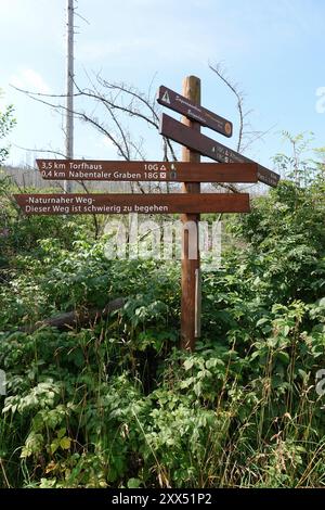 Segui le indicazioni per l'Harzer Hexen-Stieg Trail nelle montagne Harzer, Germania Foto Stock