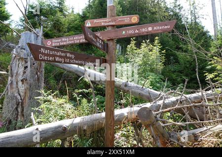 Segui le indicazioni per l'Harzer Hexen-Stieg Trail nelle montagne Harzer, Germania Foto Stock