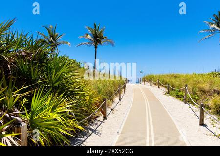 Percorso per South Beach dal lungomare di Miami Beach, Florida, Stati Uniti Foto Stock