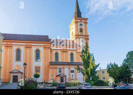 Chiesa cattolica Waidhofen an der Thaya Waidhofen an der Thaya Waldviertel Niederösterreich, bassa Austria Austria Foto Stock