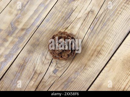 Primo piano di un cono di pino su una tavola di legno. Foto Stock