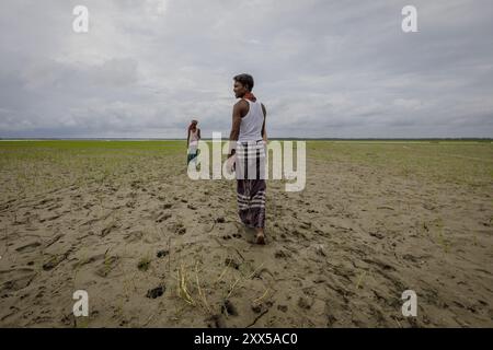 Rashed e gli altri agricoltori stanno in quello che un tempo era un campo pieno di colture. La recente alluvione ha cancellato tutto. Ora hanno piantato del riso in cima al limo nella speranza di ottenere almeno un po' di esso indietro. Semi di Chia e arachidi erano stati piantati qui. E' stato distrutto nell'alluvione. Ora gli abitanti del villaggio hanno sparso semi di risaia. Cresce senza fertilizzanti o irrigazione. Poiché questo terreno è arricchito dall'acqua di inondazione, non ha bisogno di fertilizzanti. In caso di pioggia (come dovrebbero durante questa stagione), non sarà richiesta acqua aggiuntiva. Tuttavia, se inondano, o se il terreno dr Foto Stock