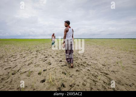 Rashed e gli altri agricoltori stanno in quello che un tempo era un campo pieno di colture. La recente alluvione ha cancellato tutto. Ora hanno piantato del riso in cima al limo nella speranza di ottenere almeno un po' di esso indietro. Semi di Chia e arachidi erano stati piantati qui. E' stato distrutto nell'alluvione. Ora gli abitanti del villaggio hanno sparso semi di risaia. Cresce senza fertilizzanti o irrigazione. Poiché questo terreno è arricchito dall'acqua di inondazione, non ha bisogno di fertilizzanti. In caso di pioggia (come dovrebbero durante questa stagione), non sarà richiesta acqua aggiuntiva. Tuttavia, se inondano, o se il terreno dr Foto Stock