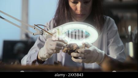 L'archeologa donna pulisce le ossa fossili utilizzando pennelli e strumenti, guarda attraverso una lampada con lente d'ingrandimento i resti di un uomo o di un animale preistorico nel laboratorio archeologico. Colleghi che lavorano in background Foto Stock