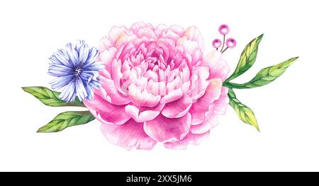 Bouquet di peonie rosa acquerello. Fiori disegnati a mano che fioriscono con petali, gemme e foglie. Set floreale di peonie con cicoria per la progettazione di matrimoni Foto Stock