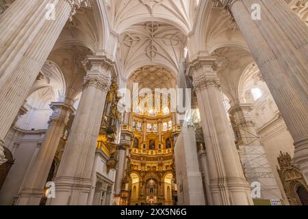 Albaicin, Granada, Provincia di Granada, Andalusia, Spagna. 26 aprile 2023. Colonne e soffitto nella Cattedrale di Granada. Foto Stock