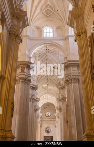 Albaicin, Granada, Provincia di Granada, Andalusia, Spagna. 26 aprile 2023. Colonne e soffitto nella Cattedrale di Granada. Foto Stock