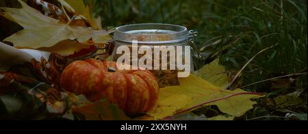 Crea un piatto per l'autunno all'aperto con STILL Life. Concetto di picnic autunnale. Zucca, fiori secchi in un vaso e foglie gialle su una coperta. Caldo sole autunno da Foto Stock