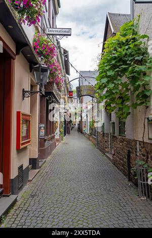 Ruedesheim: La famosa Drosselgasse a Ruedesheim, Germania. Questa stretta strada è il punto turistico più famoso di Ruedesheim. Foto Stock