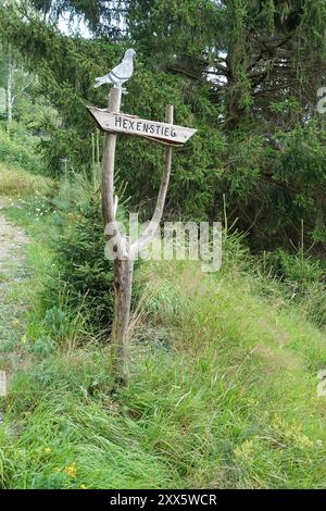 Cartello in legno sul sentiero Harzer Hexen-Stieg Foto Stock