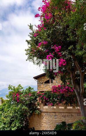 Casa in pietra con una bella boscaglia fiorita contro il cielo blu. Paesaggio del Mediterraneo meridionale, Alanya, Turchia. Foto di alta qualità Foto Stock