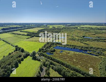 Vista aerea della palude sul lato sud del canale Kiel. Offenbuettel, Schleswig-Holstein, Germania, Europa Foto Stock