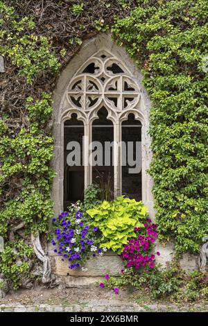 Trasposizione, finestre in stile gotico, monastero e palazzo di Bebenhausen, ex abbazia cistercense, distretto di Tuebingen, Baden-Wuerttemberg, Germania, Europa Foto Stock