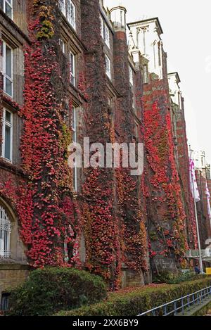 Europa, Germania, Amburgo, Rotherbaum, architettura, facciata edificio per uffici postali, ex edificio per le telecomunicazioni in Schlueterstrasse, facciata in crescita Foto Stock