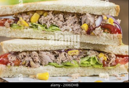 Panini con tonno appena fatti (primo piano dettagliato, messa a fuoco selettiva) Foto Stock