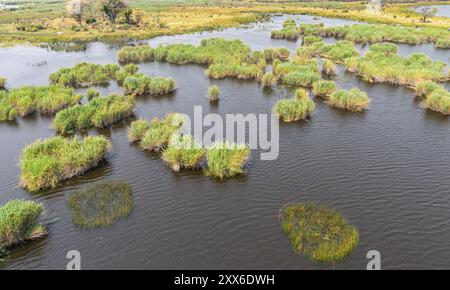 Safari in elicottero al Delta di Okavango, Botswana, durante una bella e soleggiata giornata Foto Stock