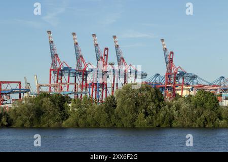 Vista dal Finkenwerder della vegetazione verde sulle rive dell'Elba, con gru e gru a cavalletto per container dietro il terminal Burchardkai nel Foto Stock