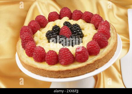 Crema pasticcera crostata con lamponi e more su un colore bianco porcellana cake stand su uno sfondo giallo Foto Stock