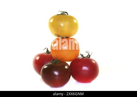 Pomodori di diversi colori impilati su uno sfondo bianco Foto Stock