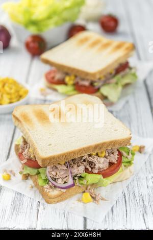 Panini con tonno appena fatti (primo piano dettagliato, messa a fuoco selettiva) Foto Stock