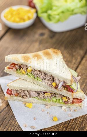 Panini con tonno appena fatti (primo piano dettagliato, messa a fuoco selettiva) Foto Stock