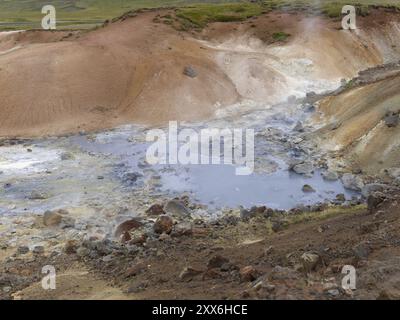 Campo solfatar di Seltun nel sistema vulcanico Krysuvik nel sud della penisola di Reykjanes in Islanda Foto Stock