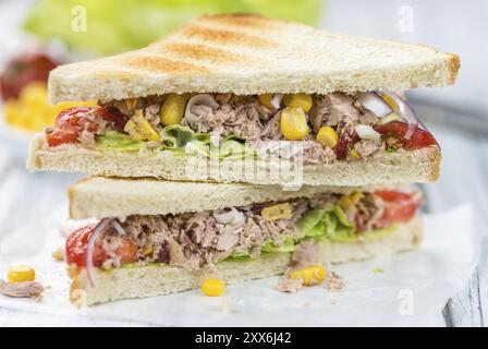 Panini con tonno appena fatti (primo piano dettagliato, messa a fuoco selettiva) Foto Stock