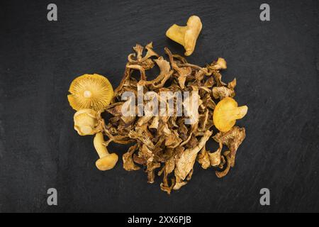 Porzione di Chanterelles essiccate come primo piano dettagliato su una lastra di ardesia, messa a fuoco selettiva Foto Stock