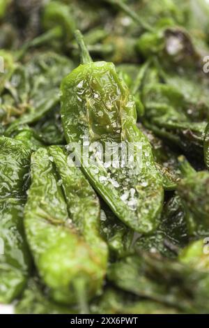 Porzione di primo piano di Pimientos de Padron fresco, messa a fuoco selettiva Foto Stock