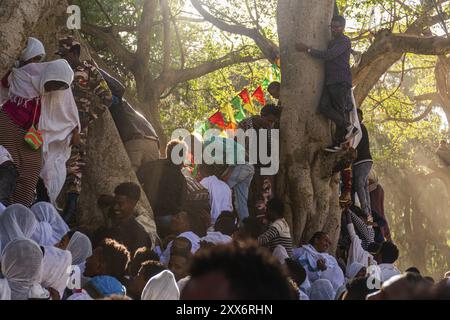 Gente che si riunisce al festival Timkat al Fasilides Bath di Gondar, Etiopia, Africa Foto Stock