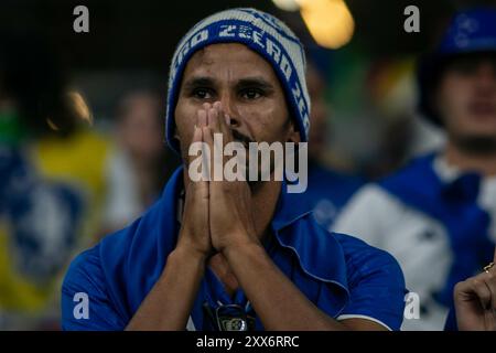 Belo Horizonte, Brasile. 22 agosto 2024. MG - BELO HORIZONTE - 08/22/2024 - COPPA SUDAMERICA 2024, CRUZEIRO x BOCA JUNIORS - tifosi del Cruzeiro durante la partita contro il Boca Juniors allo stadio Mineirao per il campionato sudamericano 2024. Foto: Fernando Moreno/AGIF credito: AGIF/Alamy Live News Foto Stock