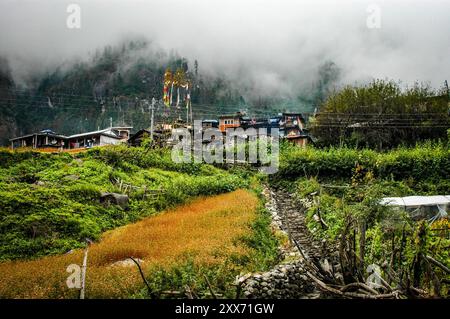 Questa immagine suggestiva cattura un villaggio avvolto dalla nebbia lungo il percorso di trekking del circuito dell'Annapurna in Nepal. Le tradizionali cabine in legno sono annidate nel mezzo di terrac Foto Stock