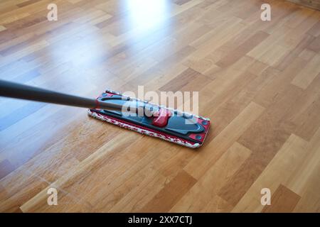 Pulizia di mocio e percorso bagnato su parquet o pavimento in laminato dell'appartamento, non c'è nessuno. Foto Stock