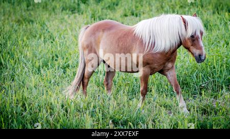 Immagini da Skåtøy Foto Stock