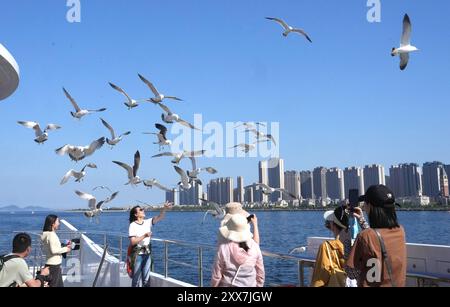 Shenyang, la provincia cinese di Liaoning. 16 giugno 2024. I turisti scattano foto su una nave turistica a Dalian, nella provincia di Liaoning della Cina nord-orientale, 16 giugno 2024. Crediti: Zhang lei/Xinhua/Alamy Live News Foto Stock