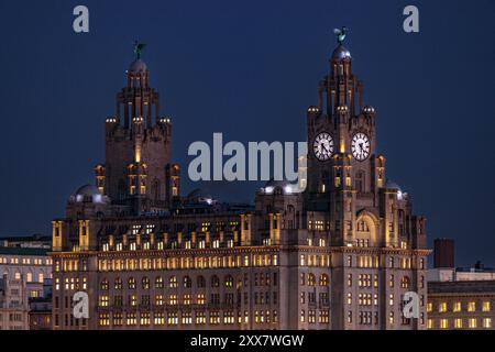 Il Royal Liver Building di notte, Liverpool, Inghilterra Foto Stock