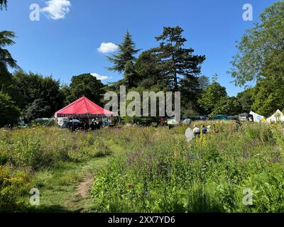 Scena pacifica al Cambridge Folk Festival del 2024 alla Cherry Hinton Hall. Foto Stock